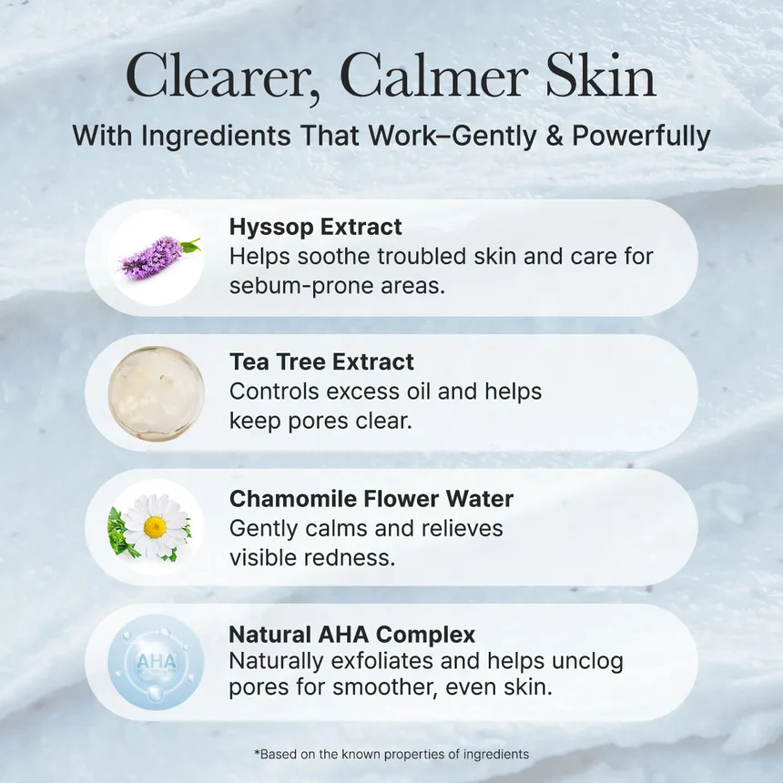 ARENCIA Hyssop Sebum Control Rice Cake Cleanser